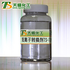 阳离子转换剂TS-TCM-东莞天盛化工