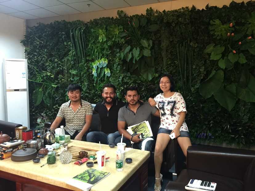 墨西哥足球明星的哥哥来我公司采购仿真植物墙配件