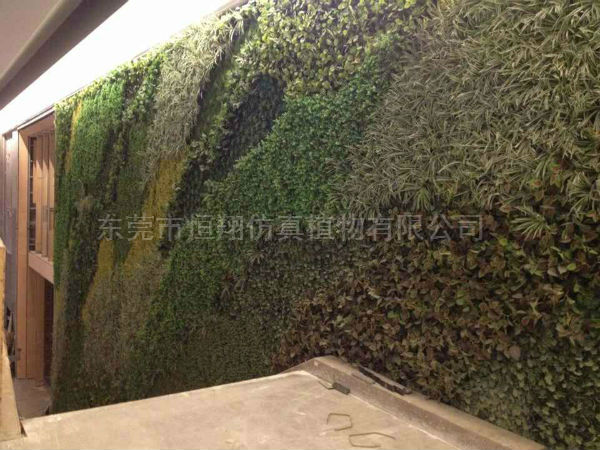 立体植物墙的制作目的