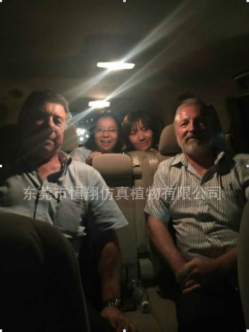 巴西最大的仿真植物制造商和我公司签订长期供应仿真椰子叶订单