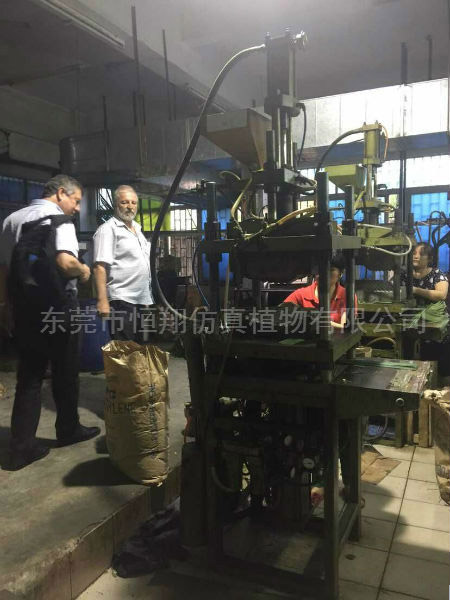 巴西最大的仿真植物制造商和我公司签订长期供应仿真椰子叶订单