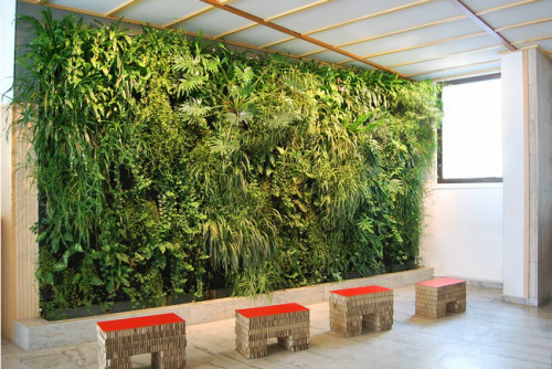 仿真植物墙