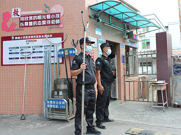 对于学校蜜桃传媒视频网站服务有哪些关键活动内容？