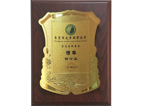东莞市皮革鞋业协会