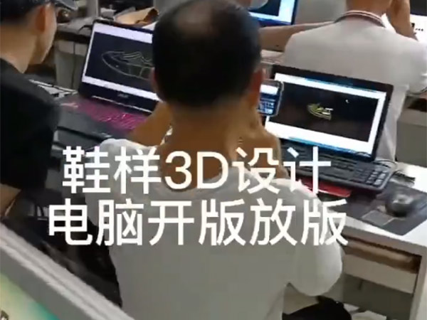 鞋样3D设计电脑开版...