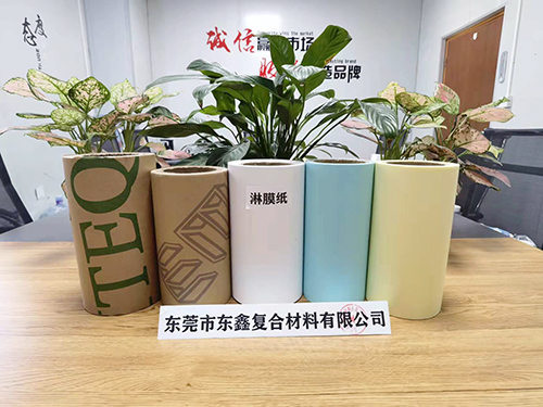 淋膜纸   