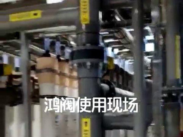 视频中心