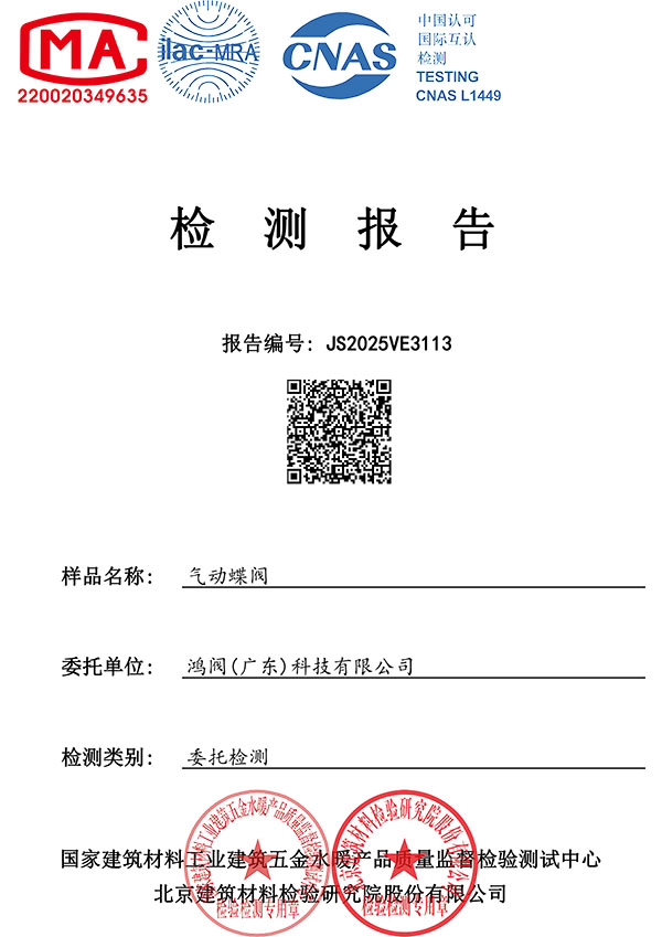 气动蝶阀检测报告