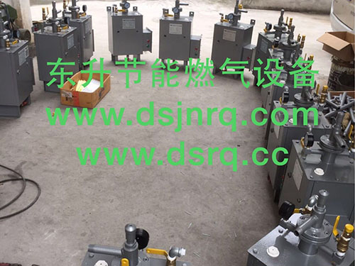 东升气化器30KG