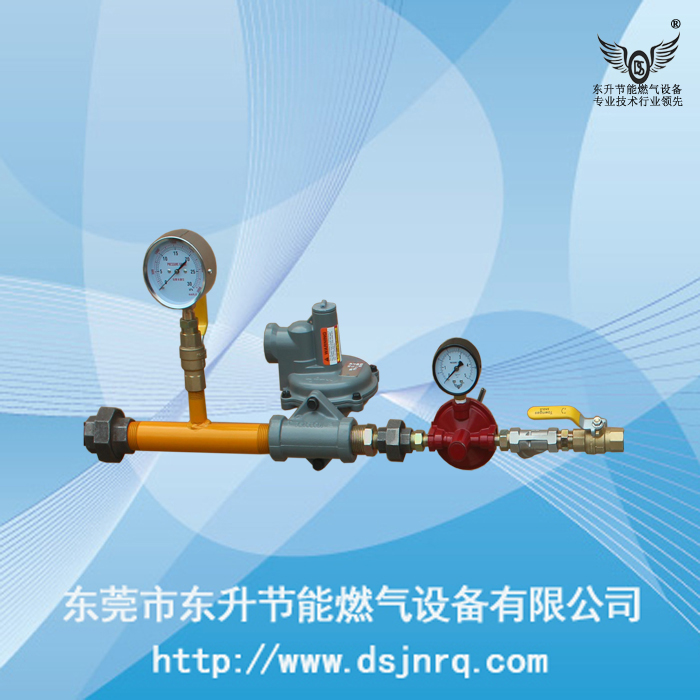 30KG气化器低压出...