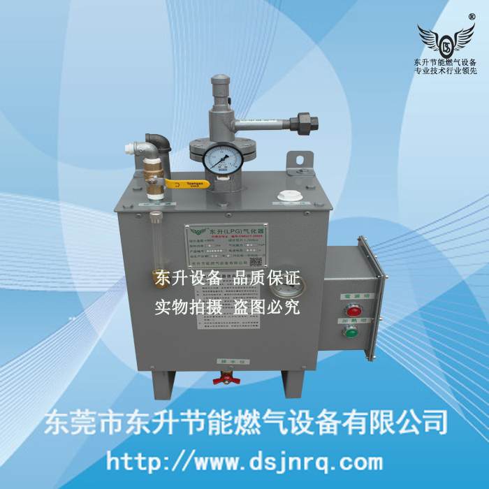 东莞东升30KG气化...