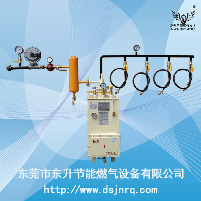 东升100KG气化器