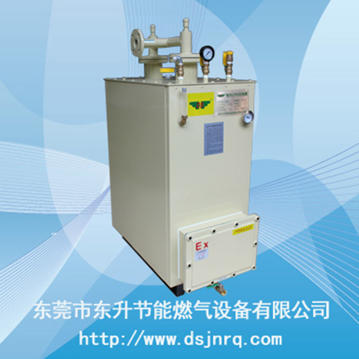 东升（LPG）300...