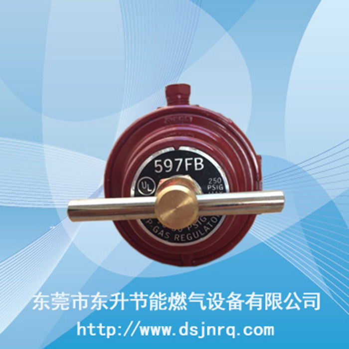 美国Rego力高59...