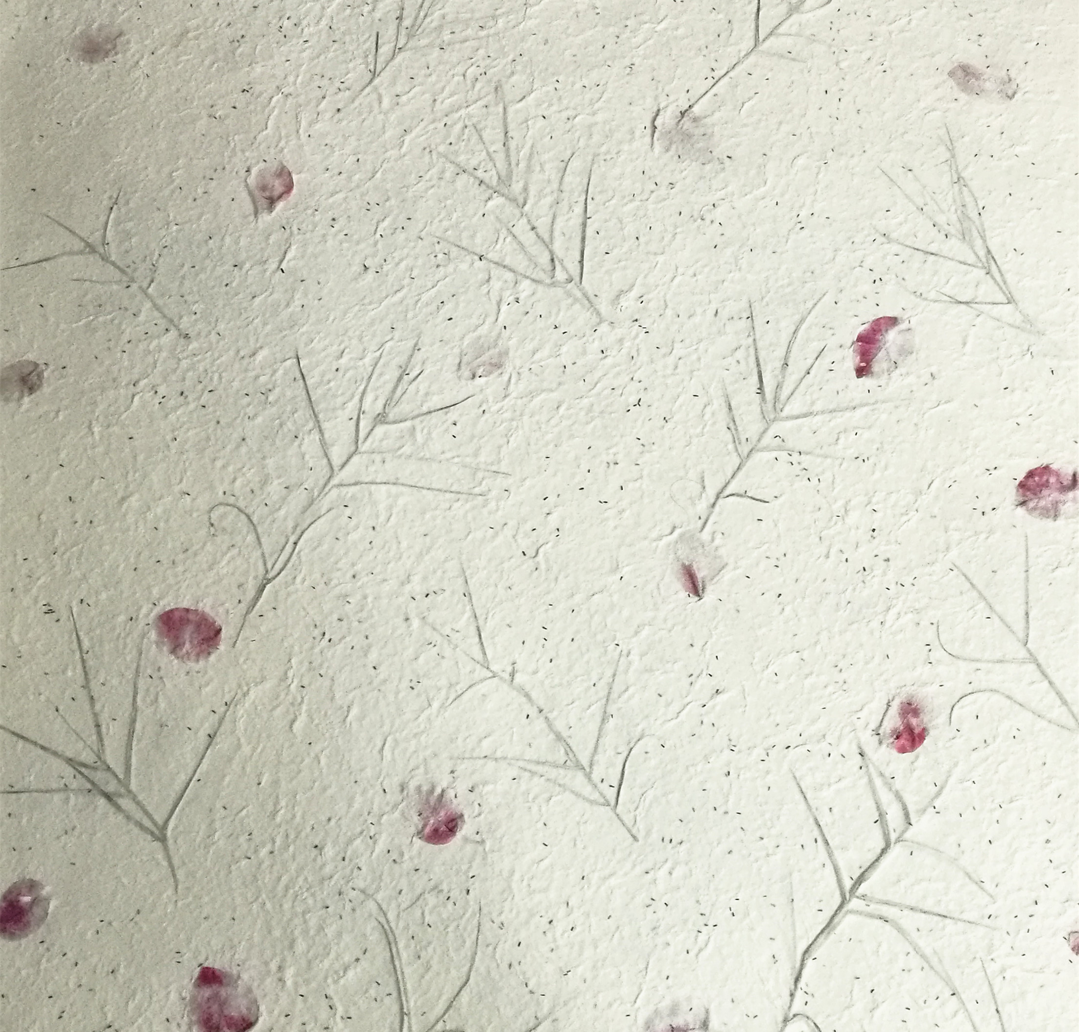纸夹花 花瓣种子纸