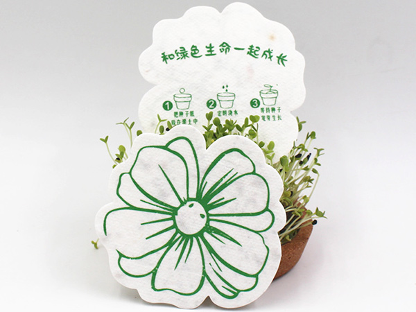 文创种子纸  东莞种...