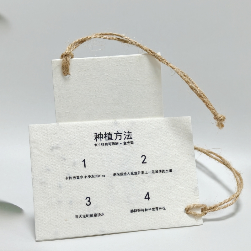 种子纸吊牌定制｜可发...