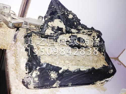 白蚁灭治