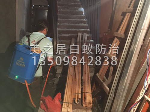 仓库白蚁预防
