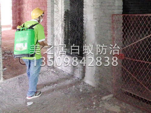 厚街白蚁防治