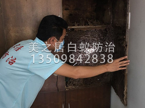 美之居白蚁灭巢技术