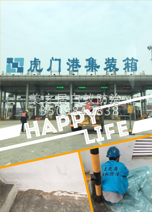 虎门港白蚁防治工程