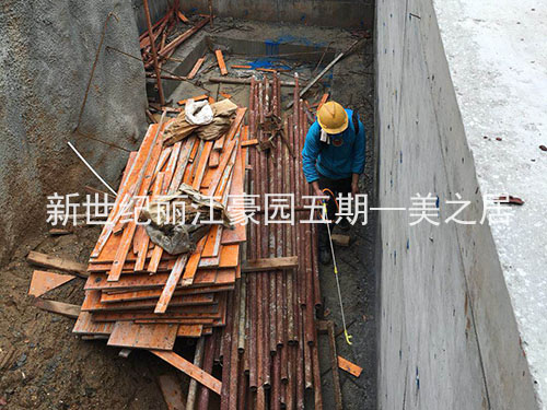 新世纪丽江豪园五期