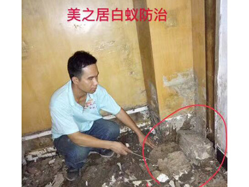 白蚁灭巢