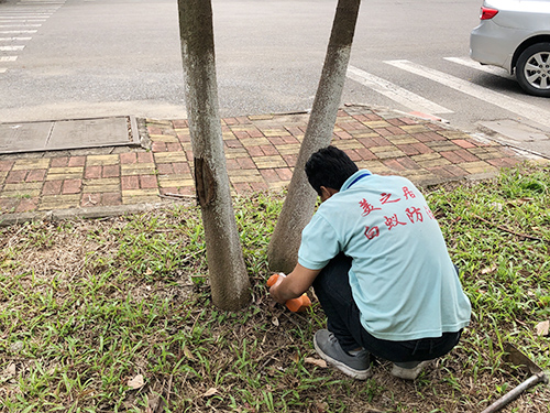 南方医科大学白蚁灭治...