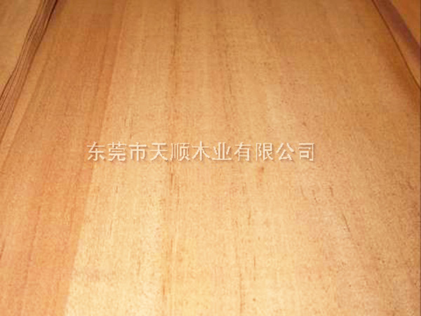 柚木木皮