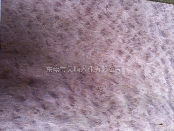尤加利树榴木皮