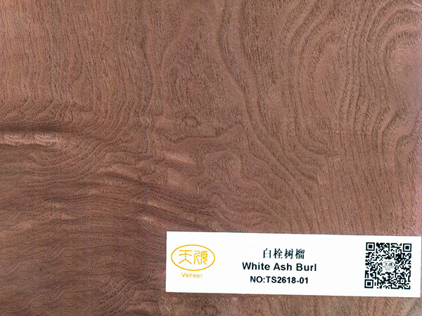 白栓树榴