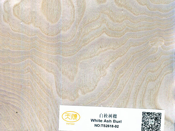 白栓树榴