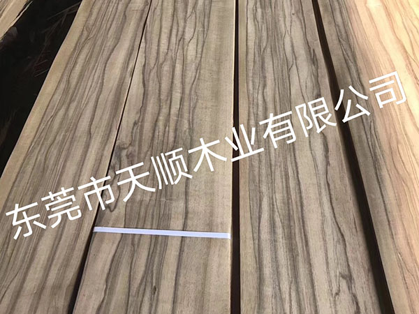 金芭木
