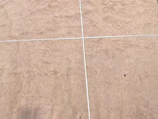 麦当娜树榴