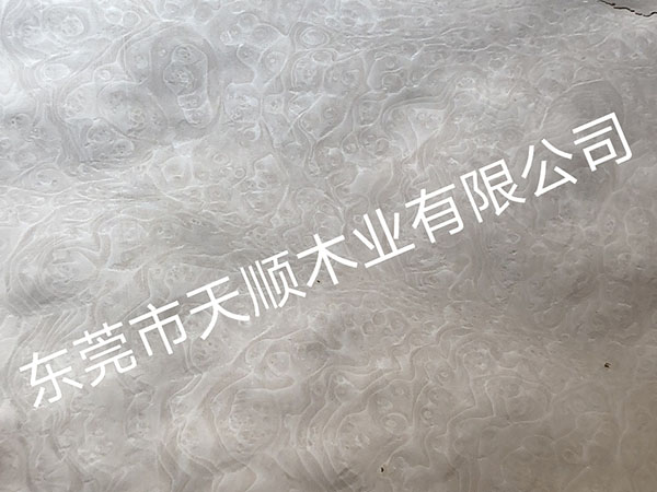 染色麦当娜树榴