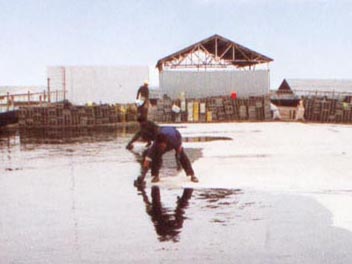横沥防水补漏
