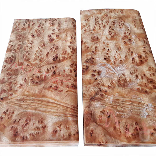 3山香果树瘤薄皮az-2007