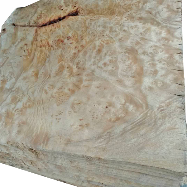 云南山香果树瘤az-2008