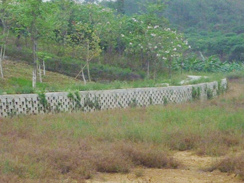 山林挡墙