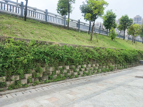 植栽型生态挡墙砌块订...