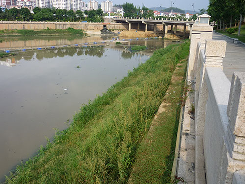 运河生态护坡