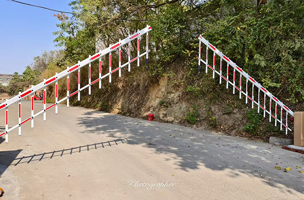东莞中龙虎门厂对开道...