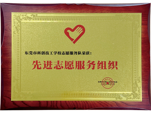先进志愿服务组织