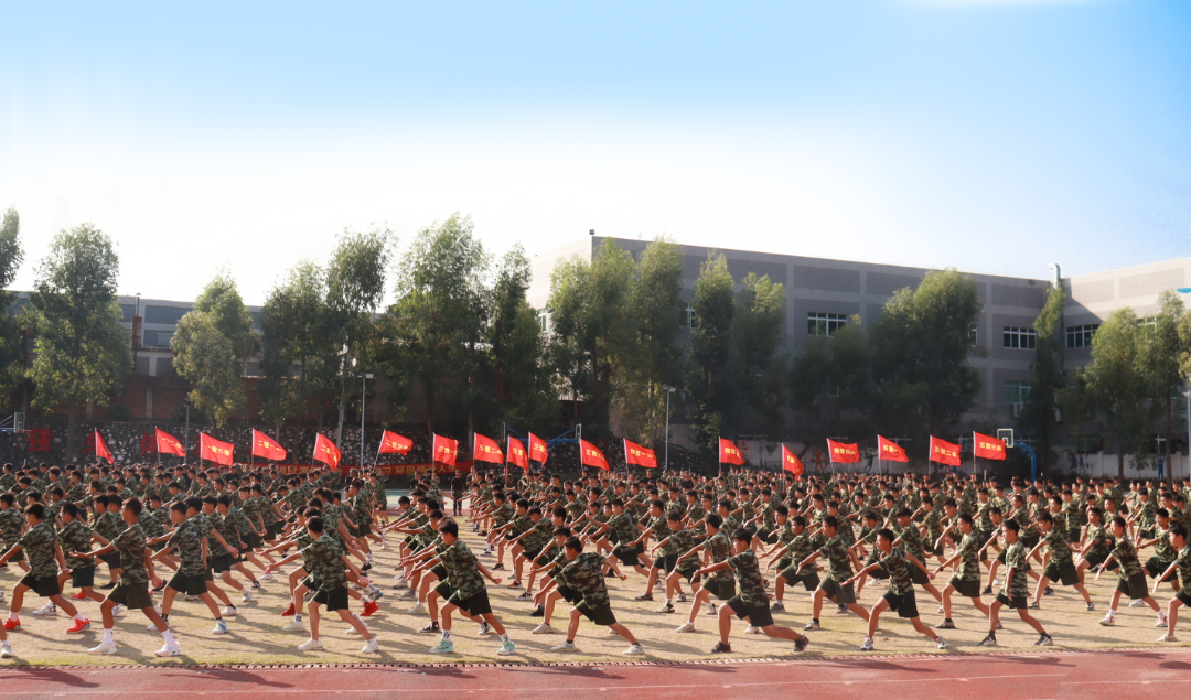 IMG_9466.png 图片
