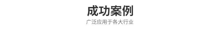 成功案例