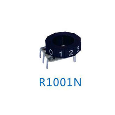 R1001N