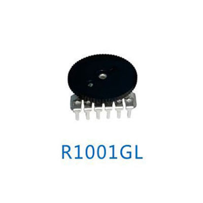 R1001GL