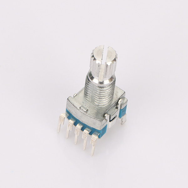 RS101V