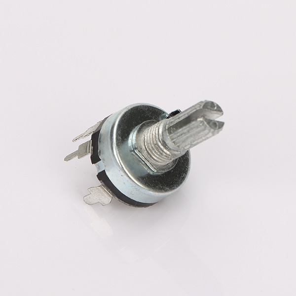 R17N1V